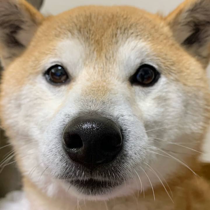 52dad7e4 de0c 43c1 89d1 4f6105cd996a 1614499897632