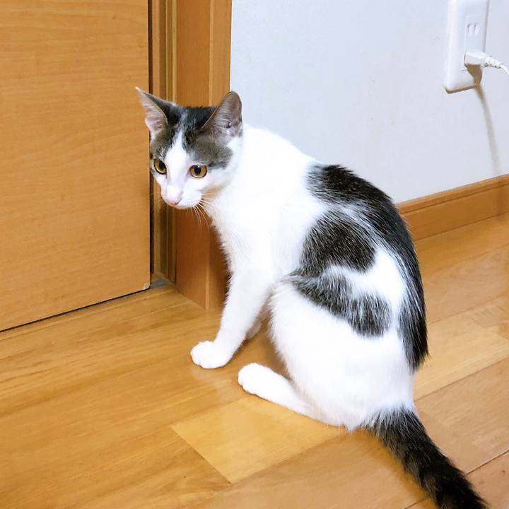 52daff7e 2974 46c5 b6b9 a608cf343b8a 1568466346517