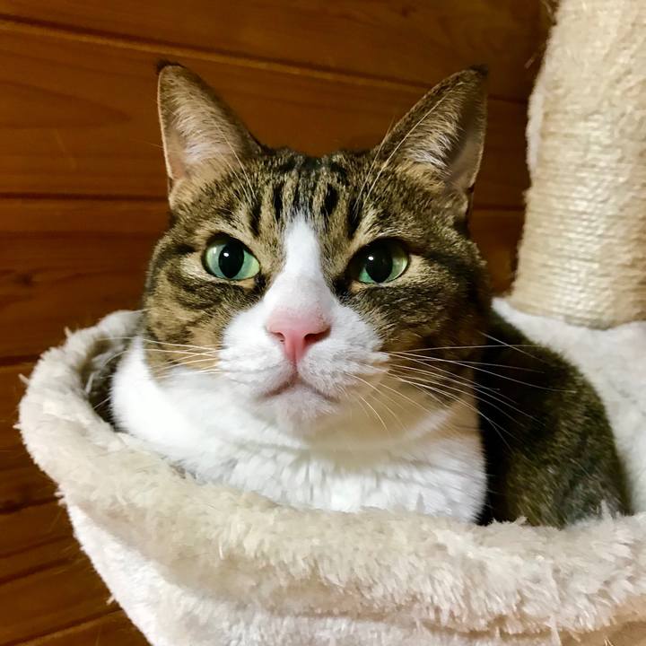 52db6719 7f99 47b7 ae9b ed2f5deb9770 1511099029283