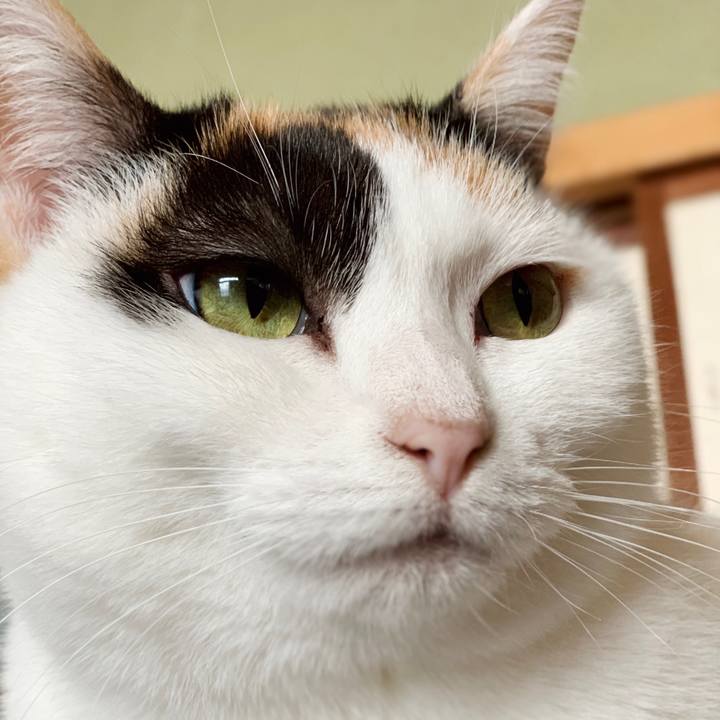 52db85a4 48d0 432e 991a 140b8bfe953a 1549332168299