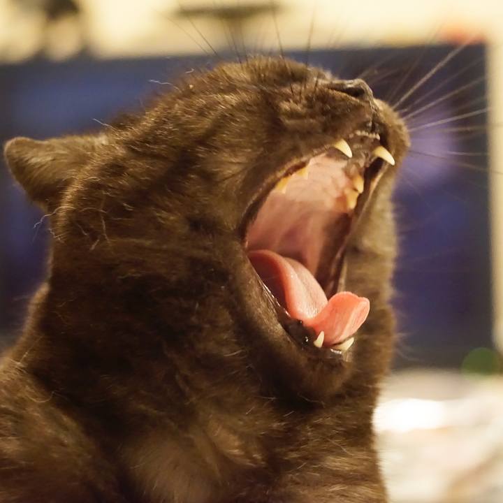 52db90f6 713f 4942 a559 f0c41ecc3509 1568381795700