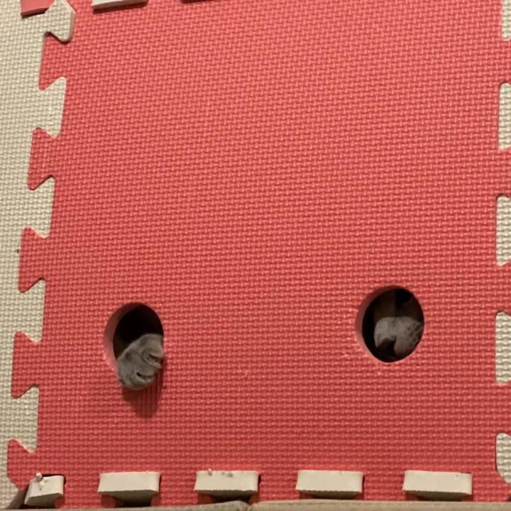 52db9f64 7c66 4949 a9bf 9a9d4ff7ae60 1616844257932