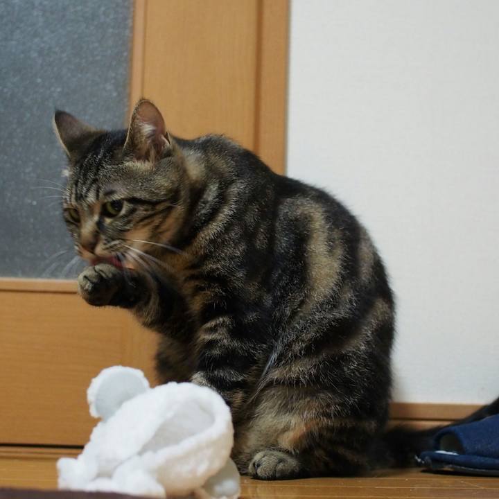 52dbb75a 300c 4d43 967b 6ba73075a934 1527683890883