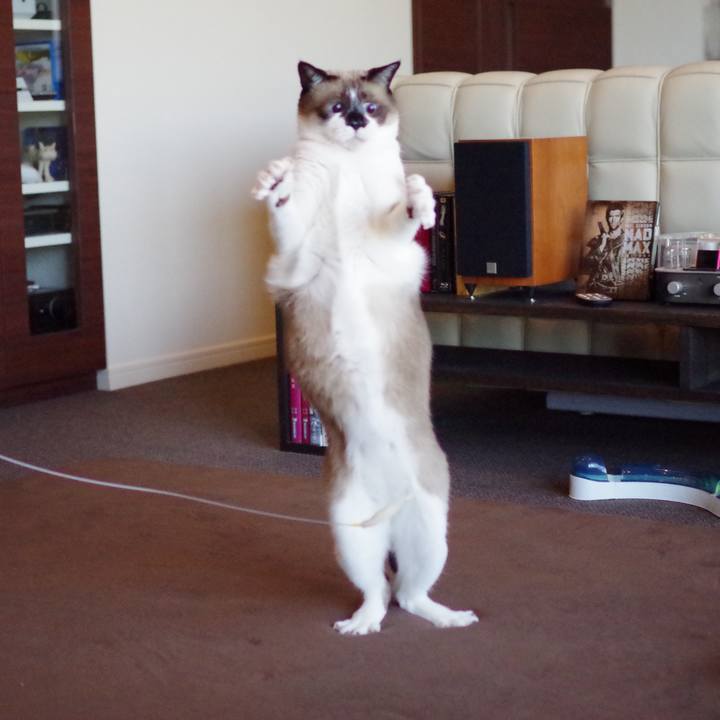 52dbd5e7 cfd4 4fe7 a709 179f75b15015 1531378797981