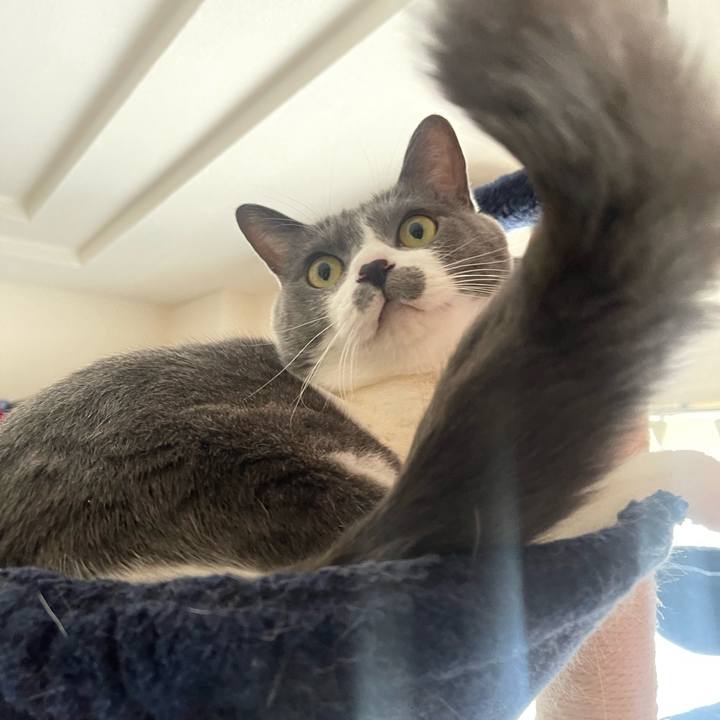 52dbf863 3758 4fbf afae 9aebff79fb4d 1672445358061