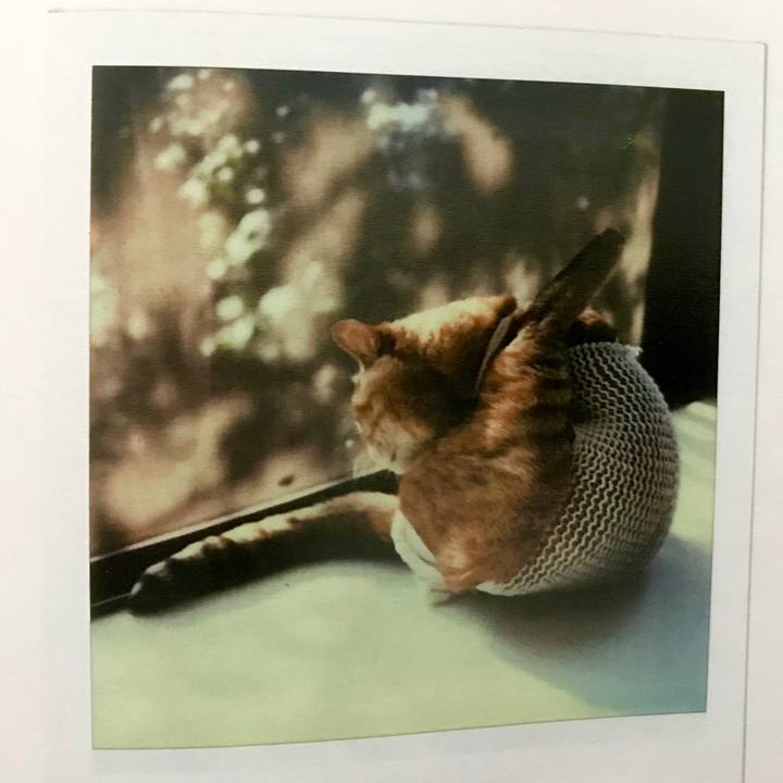 52dbfe34 c8cb 4ac2 b289 beba5d564b7d 1562995374235