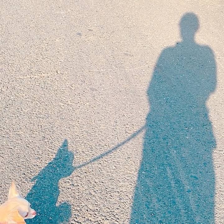 52dc20c1 fafe 4253 8791 96511bd6da7e 1632740142362