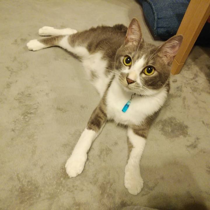 52dc7793 c650 437a a46a 060dc5a15bc9 1592832467140