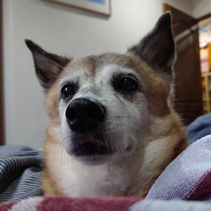 52dc7ed1 180f 47fe 8f94 e00773cfd67f 1694443140659