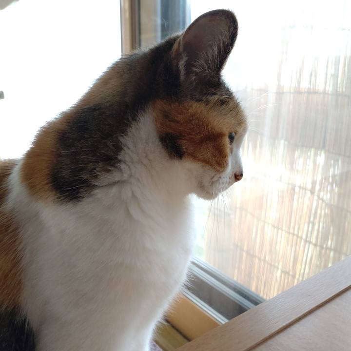 52dcb7b9 21d2 4a51 aa40 3fa2284515e2 1690241664959