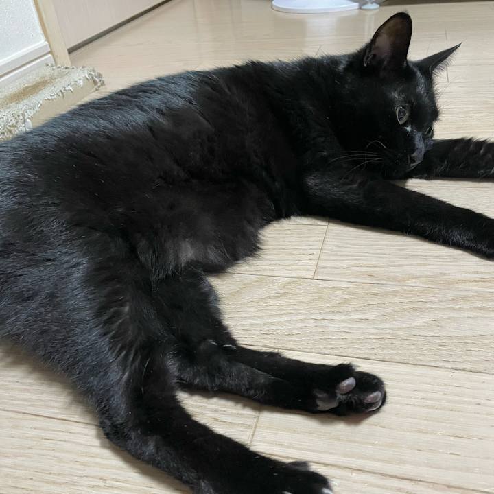 52dd0157 b9a5 4272 be37 d061fe2de5ce 1766665872265