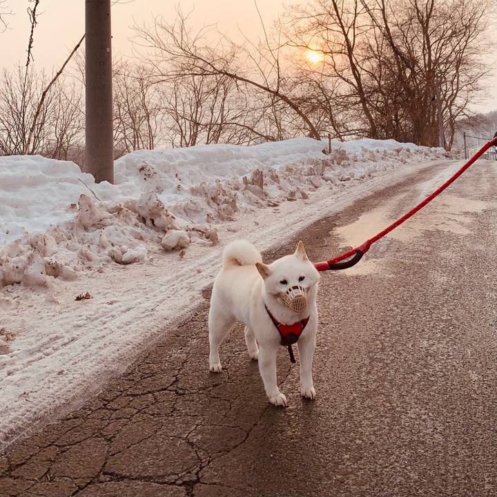 52dd2089 a62b 44f1 9926 f929380e280c 1678228184356