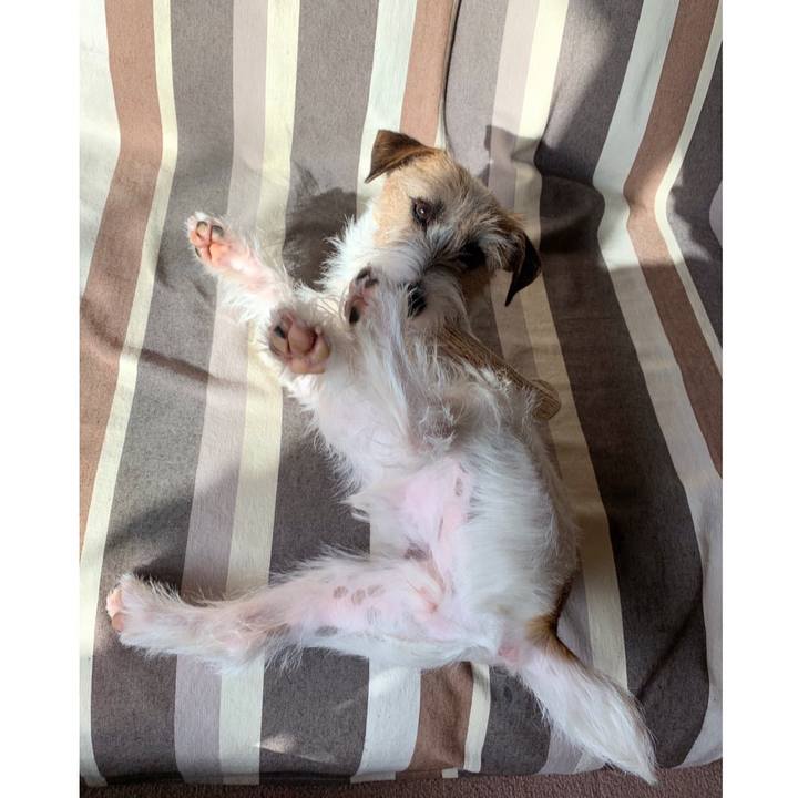 52dd2804 c2e4 4d11 a574 3dd68fa2745f 1580775041254