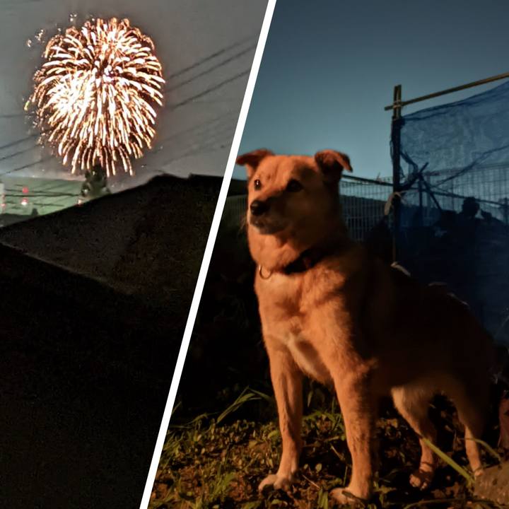 52dd282d 9645 4d6d b6b4 67784a36b98c 1661591767404