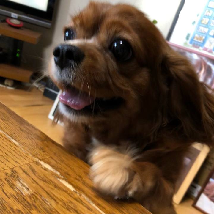 52dd3a66 82e3 4a06 ad2c 951a6901490c 1631744580124