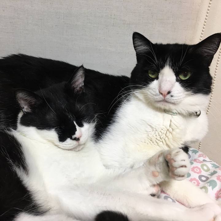 52dd3ca9 7f12 43f3 9247 741e2096415a 1525399296905