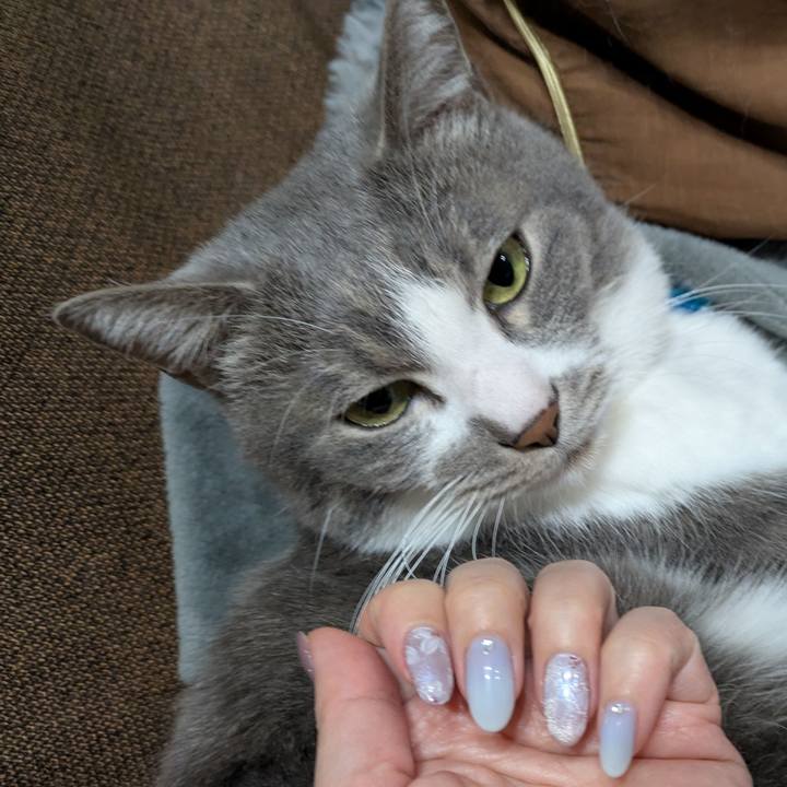 52dd4d52 2278 4540 a620 a0cb37fc2564 1741347680984