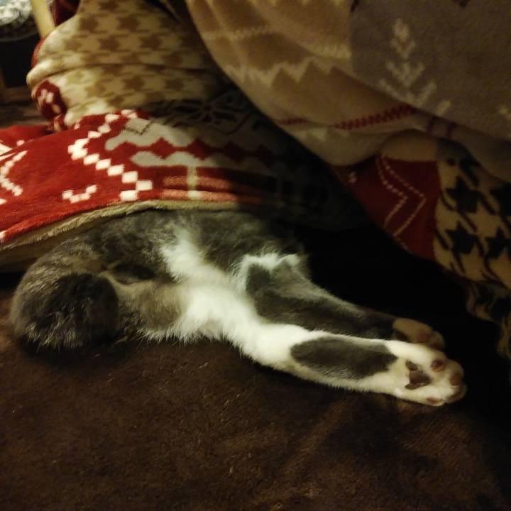 52dd741f d79d 49bb baba 00a4d93c6d59 1581340776216