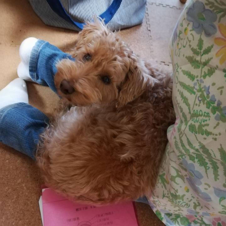 52dd85d9 9d68 4718 8e7d 40074a426770 1525726027926