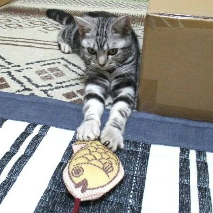 52dd98ba 0e6e 41e0 bf9f 5ef83a88157b 1538221898880