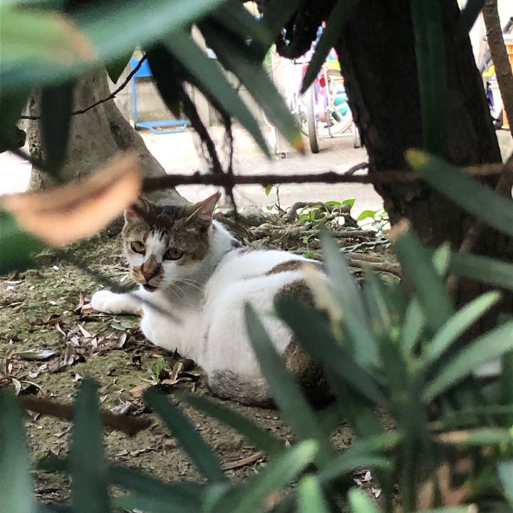 52dda81e aabd 48ec 88fa 423a58e3c31e 1565553677149