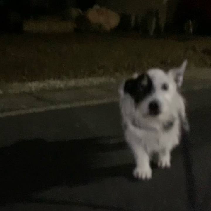 52ddc142 8aa3 4caf 92cd 10f77a6ba13a 1754833425321