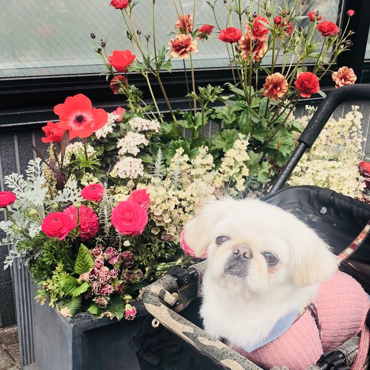 52ddd341 799e 4788 9230 fd5a98197dc0 1552569316719