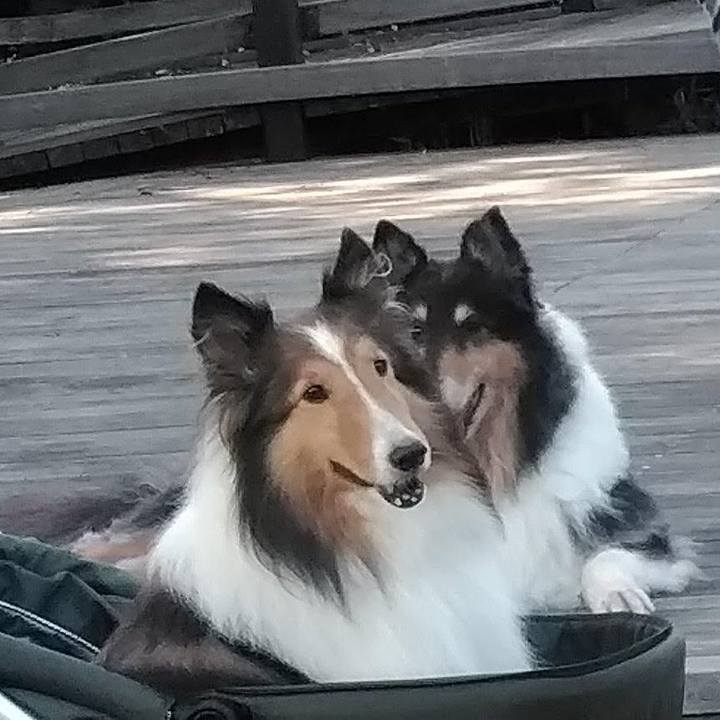 52dea93b 4081 4d19 a310 08b51764691d 1569419004467