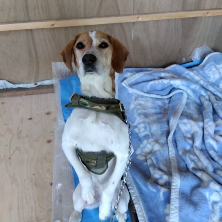 52deb1be 85f5 4fb5 849b a7240add6e5d 1678959998751