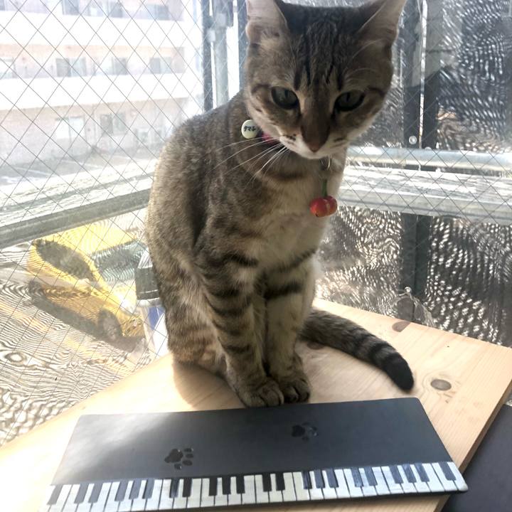 52deb5f7 874c 4705 bda9 6d57b46f6f14 1620270701447