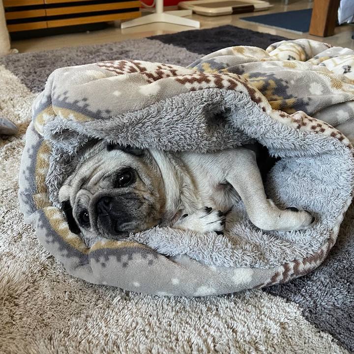 52deeb60 b3b9 4db3 abed 342b00ea836e 1765008526149