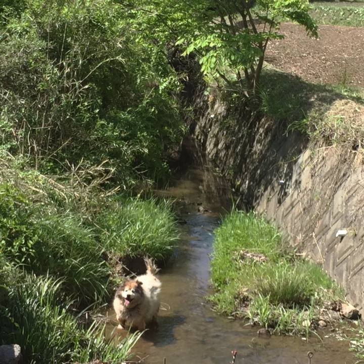 52df01c7 0085 4306 88e5 e642317e9d67 1562929447143