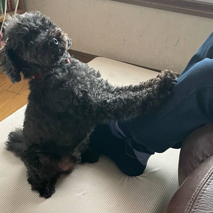 52df120b ae32 4815 828f afba5119f964 1733635590364