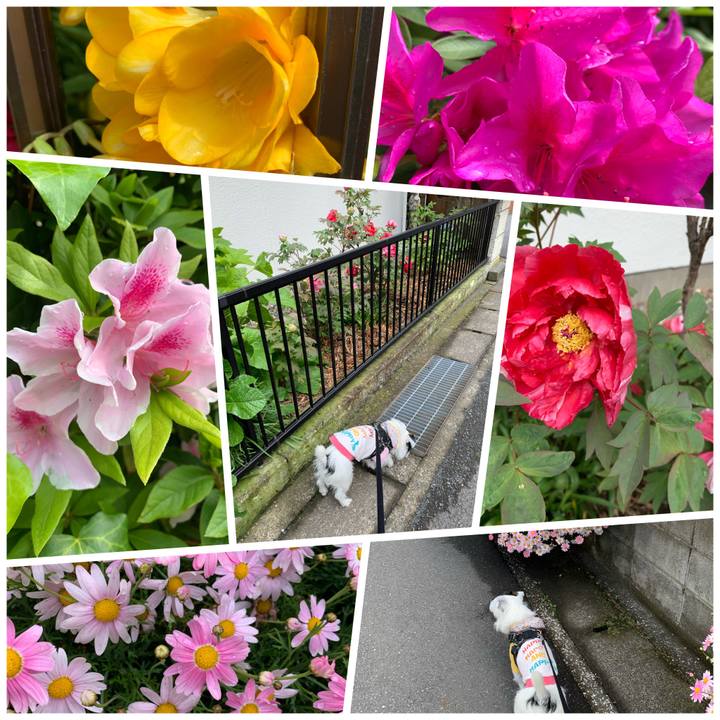 52df54bd df5a 4ea1 8686 56b66f9bfa14 1586655863310