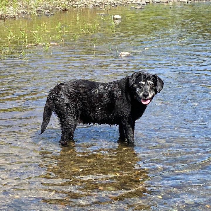 52df78b0 019d 48df 80e6 39589322e088 1692770415388