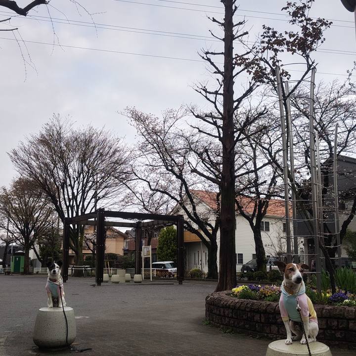 52df96aa 8295 4792 9d9a f435c82951a7 1774648590253