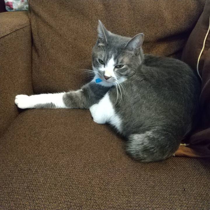 52df9eb3 6d5a 449a bb82 c11fb9f5e116 1610336984008