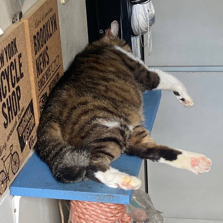 52dfa489 31d1 46ec 92f5 6e5382fb99fb 1598328746596