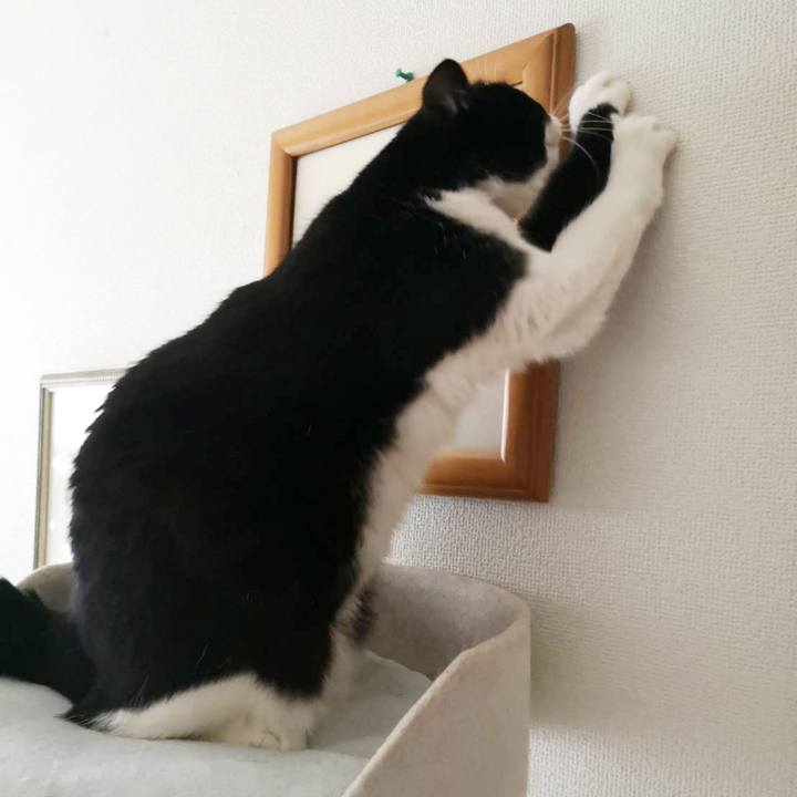 52dfe2d4 bb39 45f3 968b 92d94f620445 1644898561600