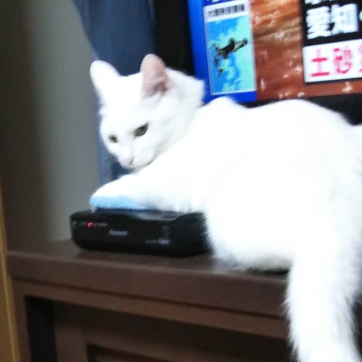 52e01df7 c112 41da bb71 069f69f09e55 1628891327345