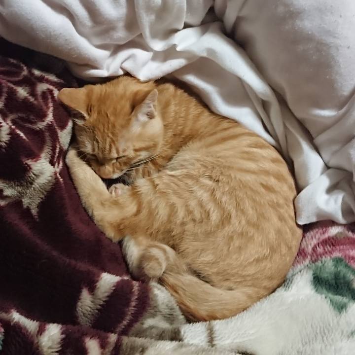 52e035fd 9596 4a2b 99c0 aefd823cdcc0 1634646085044