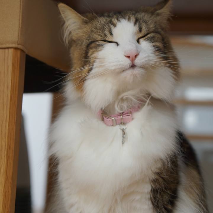 52e06665 ad39 4300 9918 2ab75ae0ad56 1554264870111