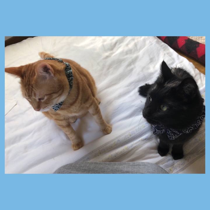 52e0834d 0347 4aab 9ab6 a012b5d855e3 1560460508971