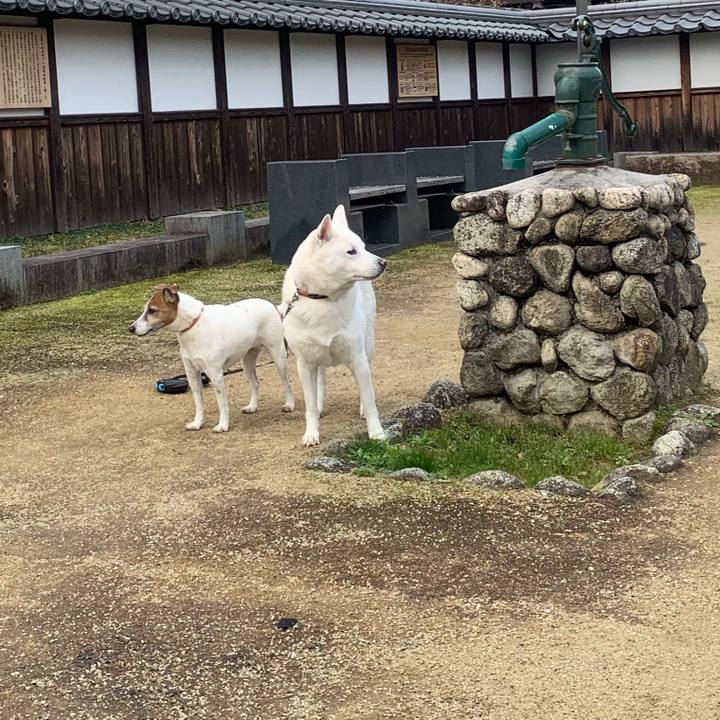 52e0da44 6c81 4910 81ec 330abf430635 1546226594951