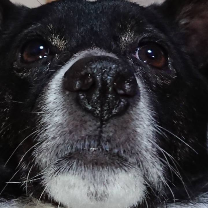 52e0e7b3 15a3 4437 9d83 bde593ed153a 1523624946845