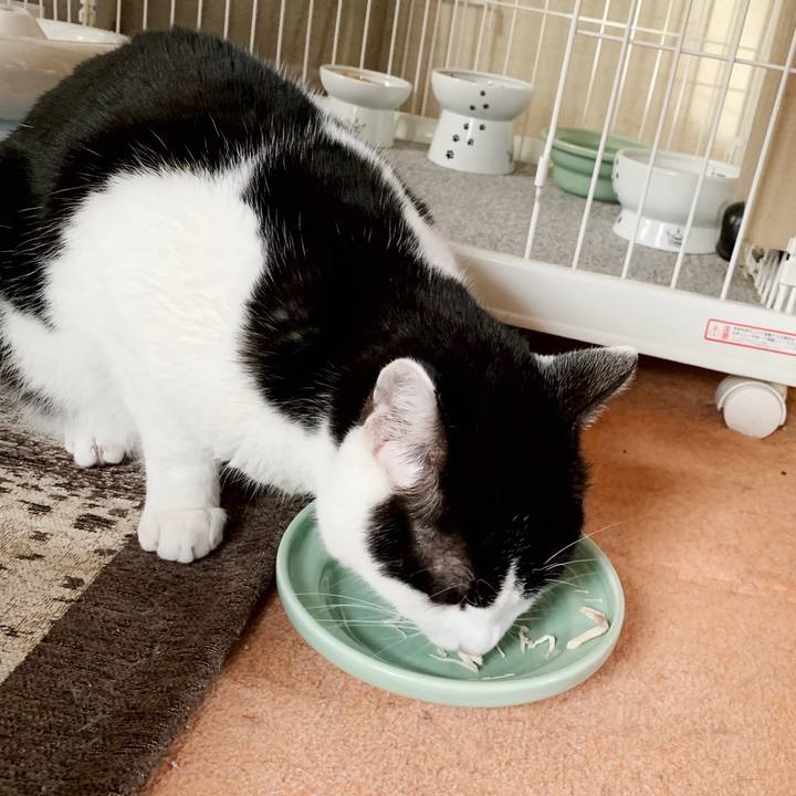 52e118c9 599a 4c3d b0cf bd6eadd2b240 1551578743581