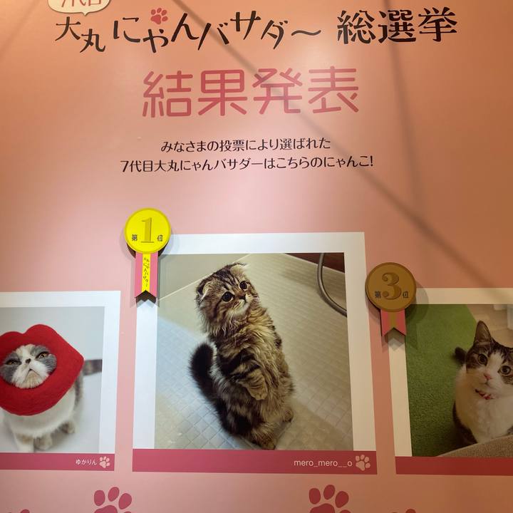 52e1515f 4a57 45b9 a24e e3dfc90122b4 1771821855409