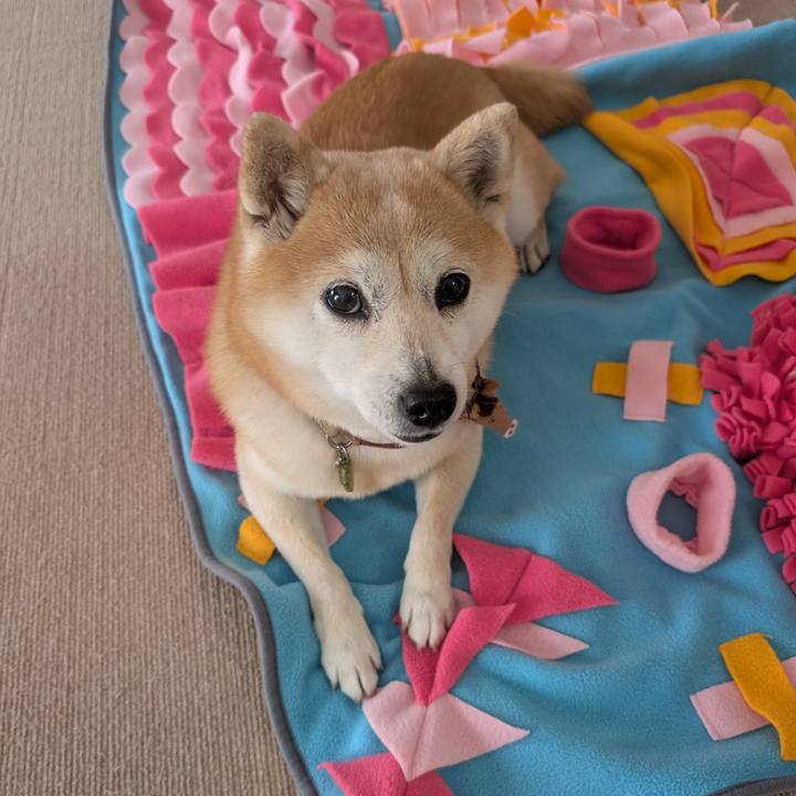 52e18525 0179 41eb 91ce 886866e59e2c 1769918466844