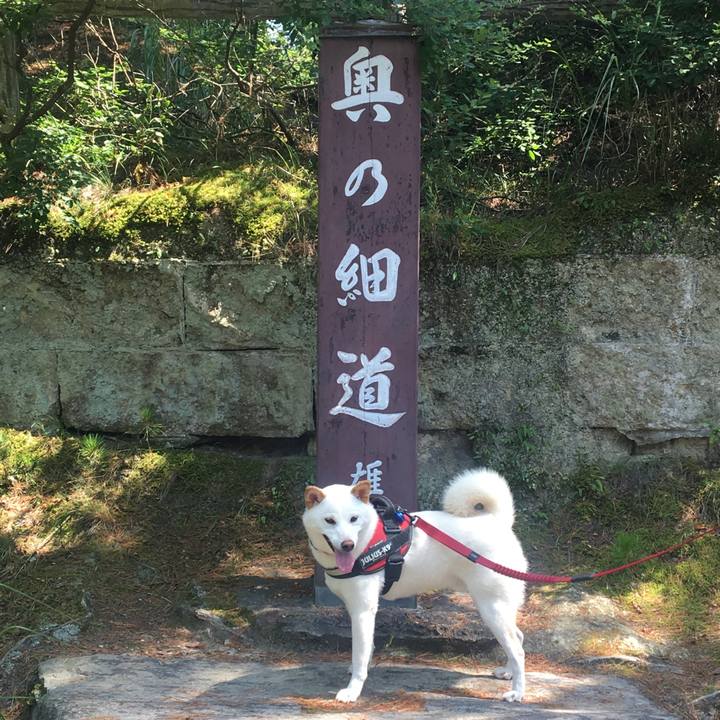 52e193b8 0092 4de8 a9b4 9de82c5b4261 1566469959802