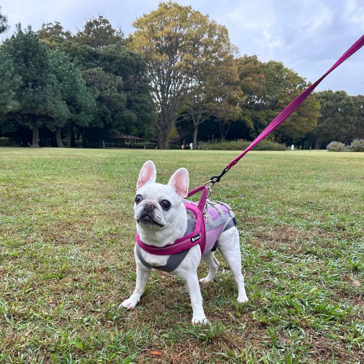 52e1adad 1b6e 45e8 80f4 f68201ac4aa6 1730693142942